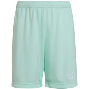 Adidas Junior Entrada 22 Shorts - Blue