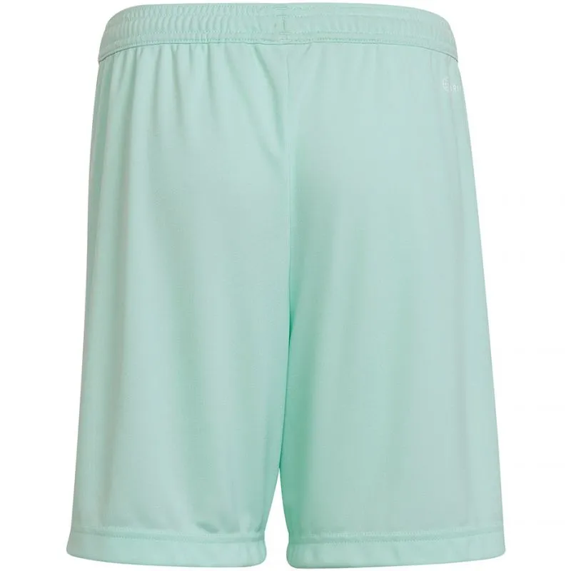 Adidas Junior Entrada 22 Shorts - Blue