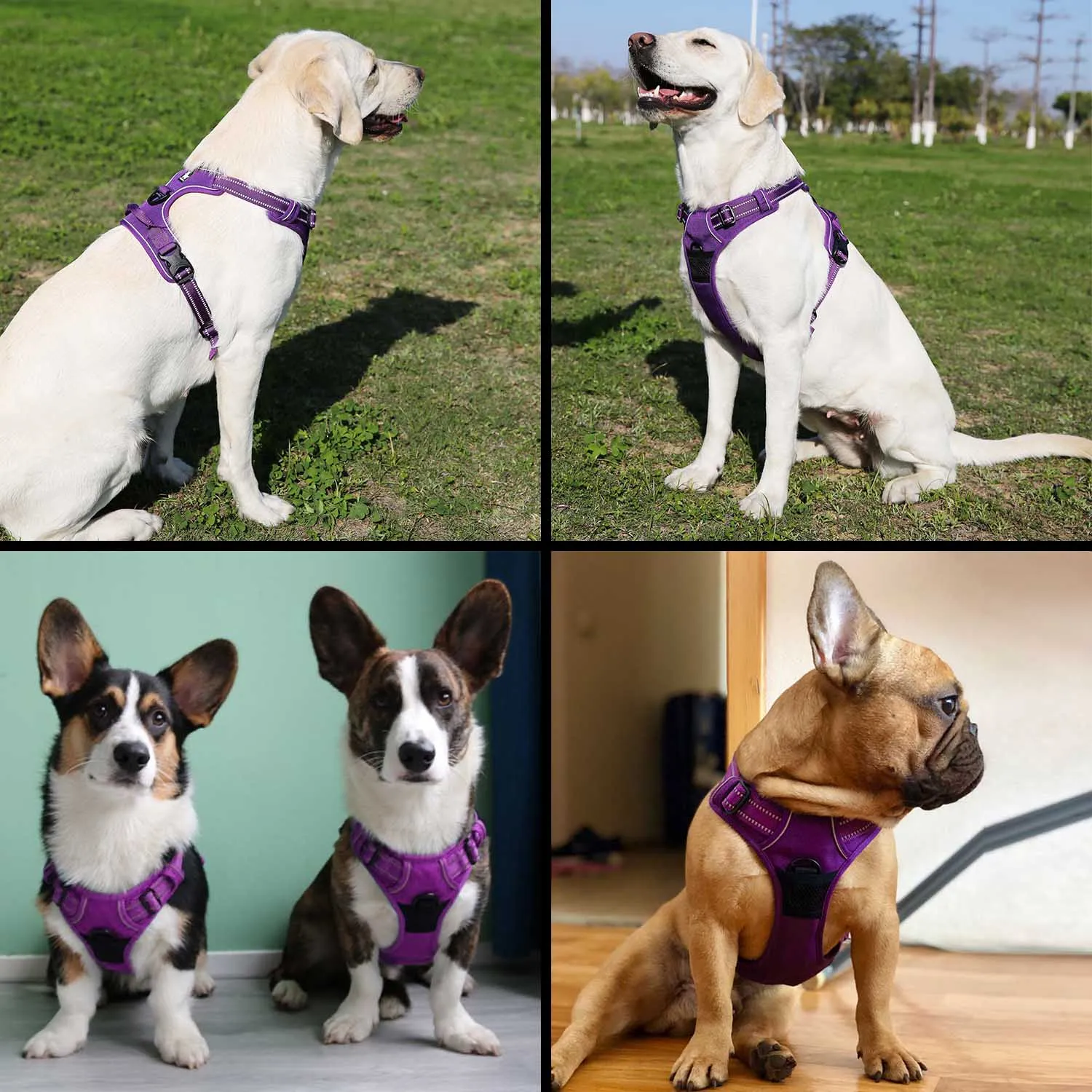 Dog Harness Adjustable Safety Nylon Large Pet Dog