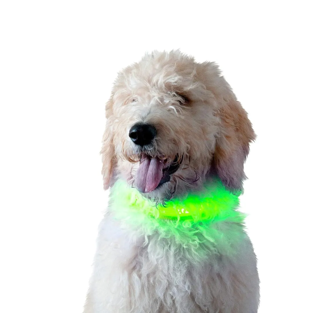 Furhaven LED Safety Light-Up Green Dog Collar