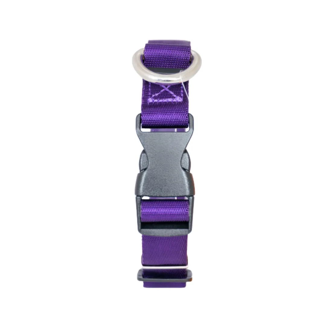 Kanu Pet Purple Dog and Cat Collar